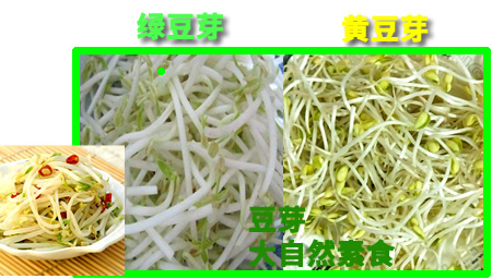 什么菜-大自然素食