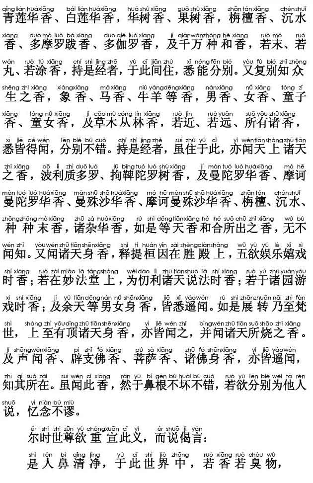 妙法莲华经卷第六；法师功德品第十九(注音版)