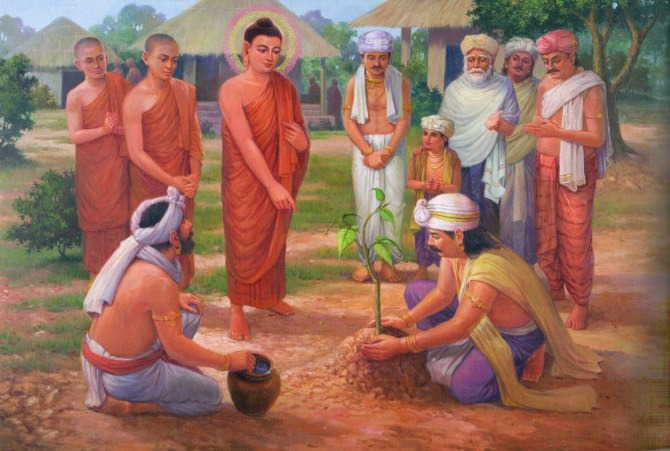 供养了一颗芒果给佛陀，佛陀吃完就让他把果核种在城门口