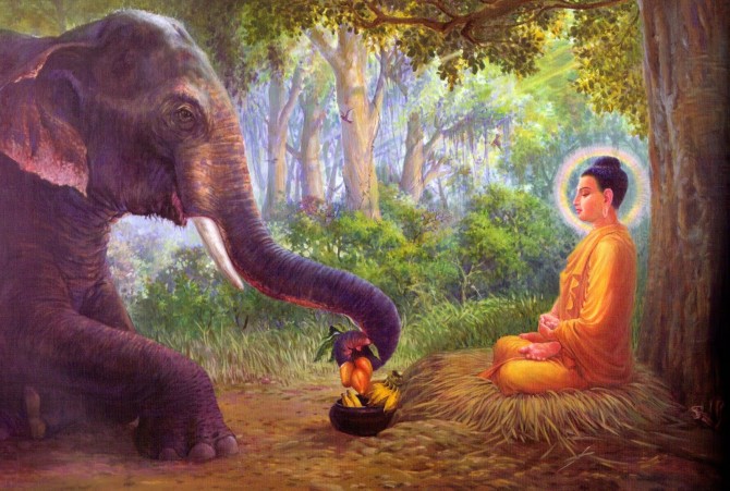 象王帕里雷亚卡在取食供养佛陀